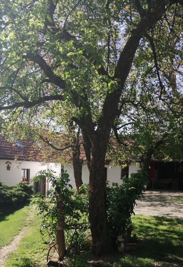 Keramicky A Vytvarny Atelier Konesin Zewnętrze zdjęcie